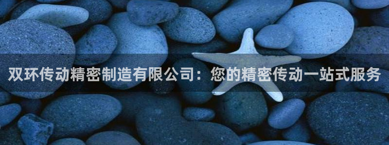 彩神网能赚钱是怎么回事：双环传动精密制造有限公司：您的精密传动一站式服务