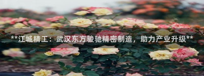 彩神ix平台