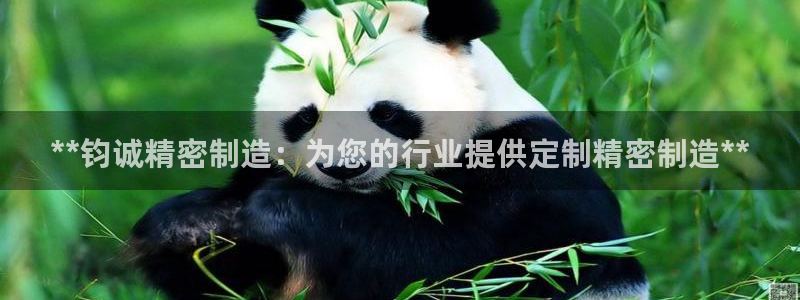彩神可以提现吗：**钧诚精密制造：为您的行业提供定制精密制造**