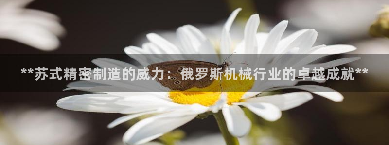 彩神Vll购彩大厅：**苏式精密制造的威力：俄罗斯机械行业的卓越成就**