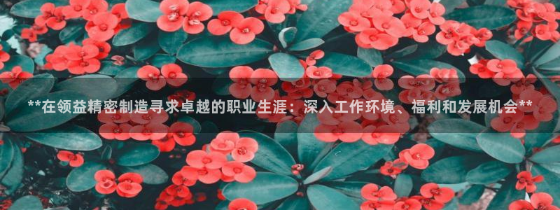 彩神vll购彩大厅大众：**在领益精密制造寻求卓越的职业生涯：深入工作环境、福利和发展机会**