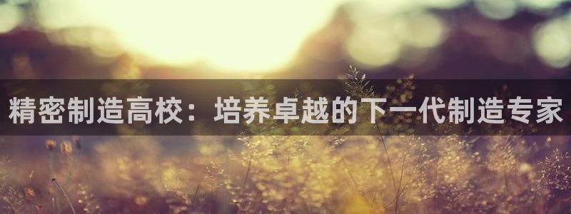 彩神VII官方版：精密制造高校：培养卓越的下一代制造专家