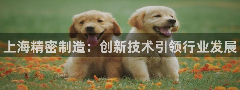 彩神viii下载安卓：上海精密制造：创新技术引领行业发展