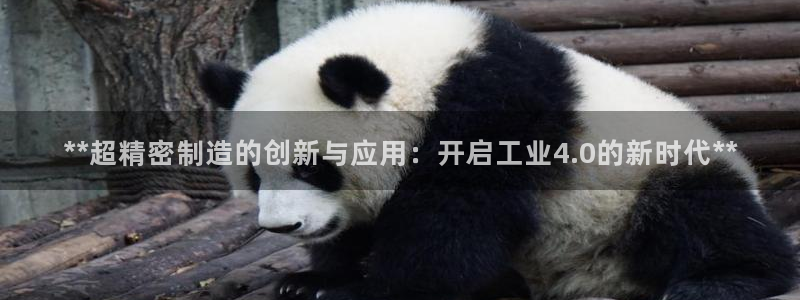 彩神Vii购彩-购彩大厅：**超精密制造的创新与应用：开启工业4.0的新时代**