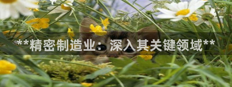 下载彩神争霸谁与我争锋：**精密制造业：深入其关键领域**