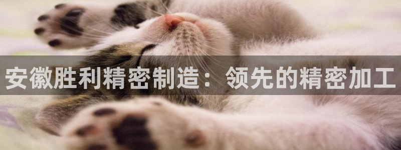 下载彩神乐发V1：安徽胜利精密制造：领先的精密加工