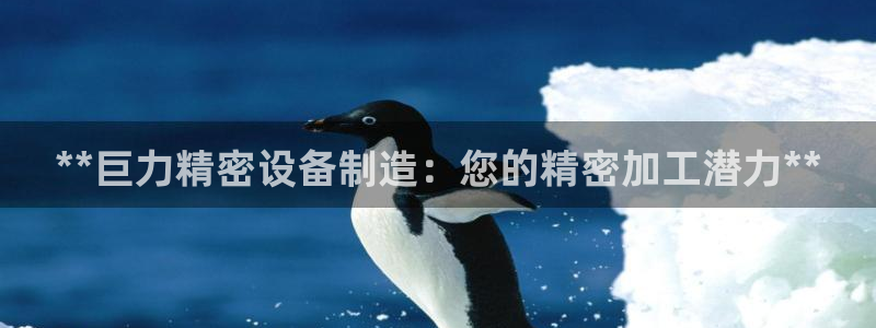 在彩神网输了六万多怎么拿回来：**巨力精密设备制造：您的精密加工潜力**