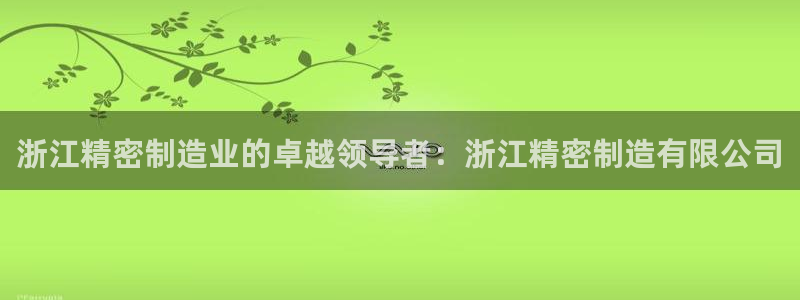 彩神v8是一个什么平台啊：浙江精密制造业的卓越领导者：浙江精密制造有限公司
