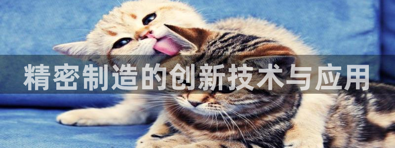 彩神怎么样可以提现：精密制造的创新技术与应用