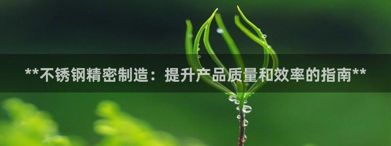 彩神vll首页环球：**不锈钢精密制造：提升产品质量和效率的指南**