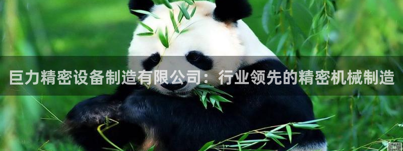 彩神velcome购彩大厅：巨力精密设备制造有限公司：行业领先的精密机械制造