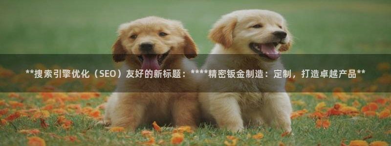 彩神是什么平台的游戏：**搜索引擎优化（SEO）友好的新标题：****精密钣金制造：定制，打造卓越产品**