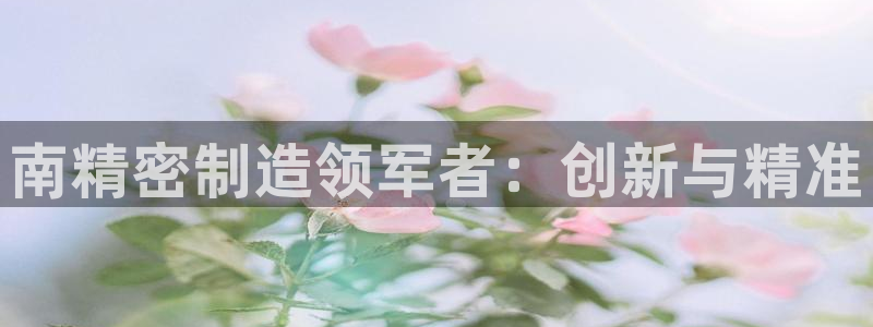 彩神v8手机客户端怎么下载：南精密制造领军者：创新与精准