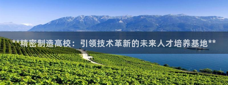 彩神大发云：**精密制造高校：引领技术革新的未来人才培养基地**