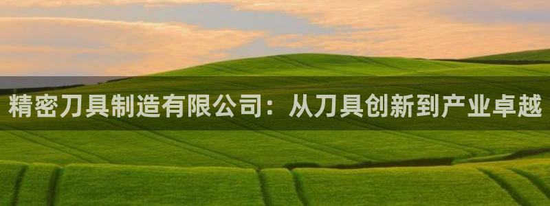 彩神VII官方版