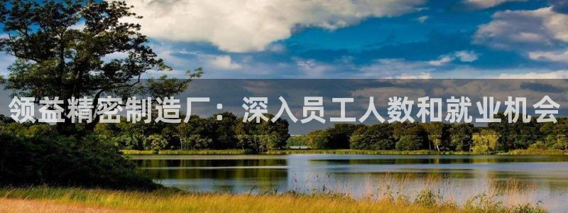 彩神盈利图片：领益精密制造厂：深入员工人数和就业机会