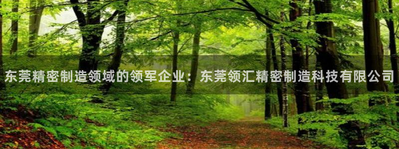 彩神v天天：东莞精密制造领域的领军企业：东莞领汇精密制造科技有限公司