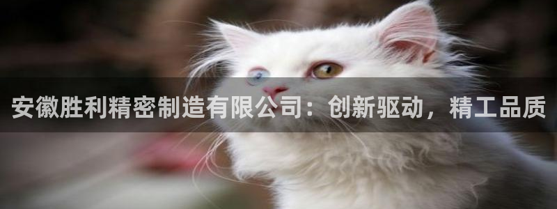 彩神争霸官方下载：安徽胜利精密制造有限公司：创新驱动，精工品质