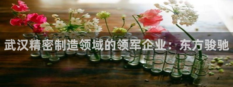 彩神vip购彩大厅在哪：武汉精密制造领域的领军企业：东方骏驰