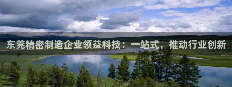 彩神ii官方网：东莞精密制造企业领益科技：一站式，推动行业创新
