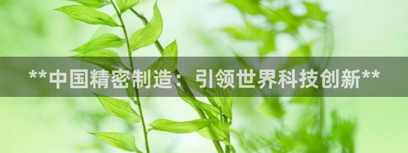 彩神赢钱了吗：**中国精密制造：引领世界科技创新**