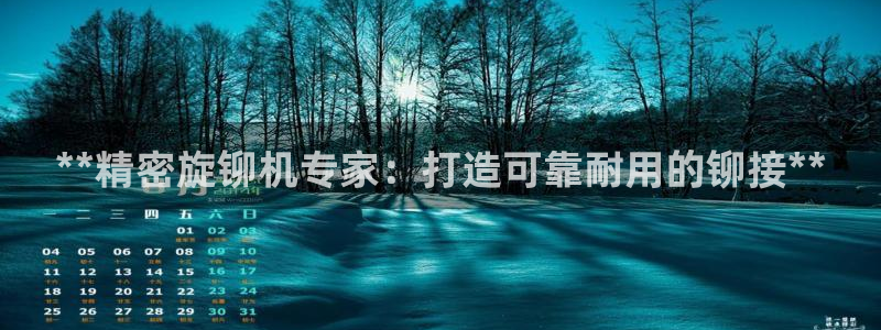 彩神V3大赢家：**精密旋铆机专家：打造可靠耐用的铆接**