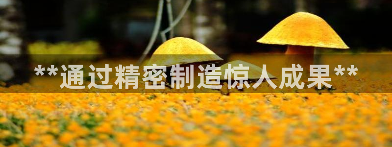 彩神v8下载app：**通过精密制造惊人成果**