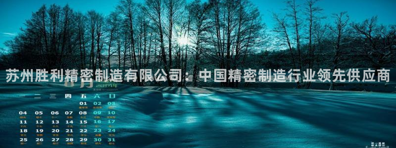 彩神用户登录：苏州胜利精密制造有限公司：中国精密制造行业领先供应商