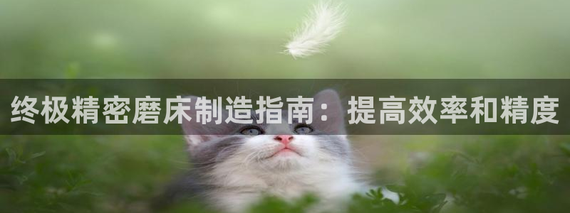 彩神x平台靠什么盈利：终极精密磨床制造指南：提高效率和精度