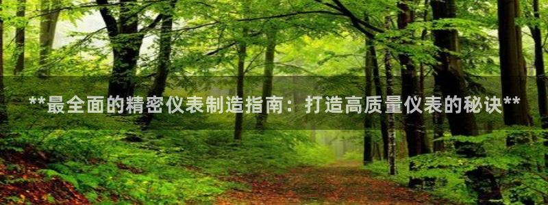 彩神争霸官方登录：**最全面的精密仪表制造指南：打造高质量仪表的秘诀**