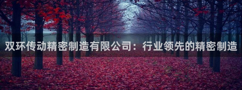 彩神8官网下：双环传动精密制造有限公司：行业领先的精密制造
