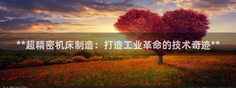 下载彩神乐发V1：**超精密机床制造：打造工业革命的技术奇迹**