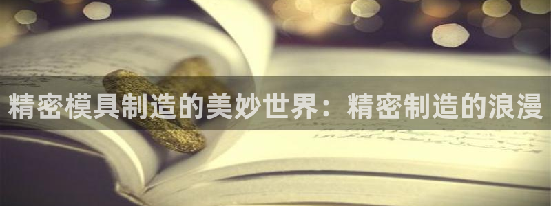 彩神是怎样一个平台：精密模具制造的美妙世界：精密制造的浪漫