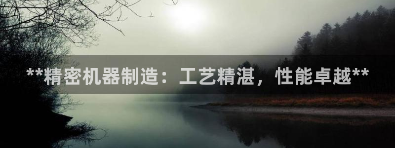 彩神广告有限公司：**精密机器制造：工艺精湛，性能卓越**