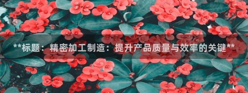 彩神ⅴll用户登录：**标题：精密加工制造：提升产品质量与效率的关键**