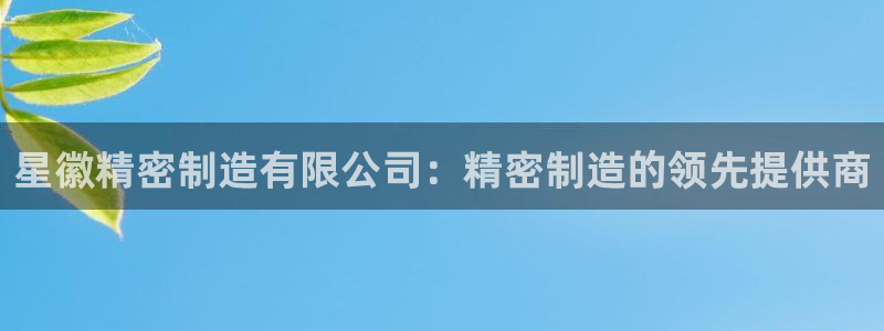 彩神怎么才能赢：星徽精密制造有限公司：精密制造的领先提供商