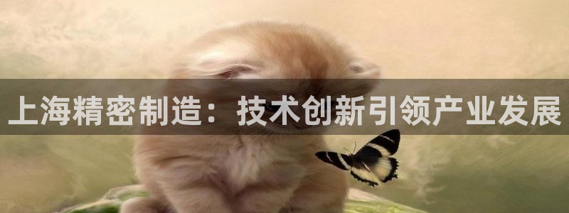 彩神V8平台：上海精密制造：技术创新引领产业发展