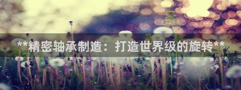 彩神iv争霸购彩大厅：**精密轴承制造：打造世界级的旋转**