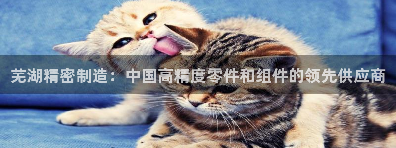 大发彩神争：芜湖精密制造：中国高精度零件和组件的领先供应商