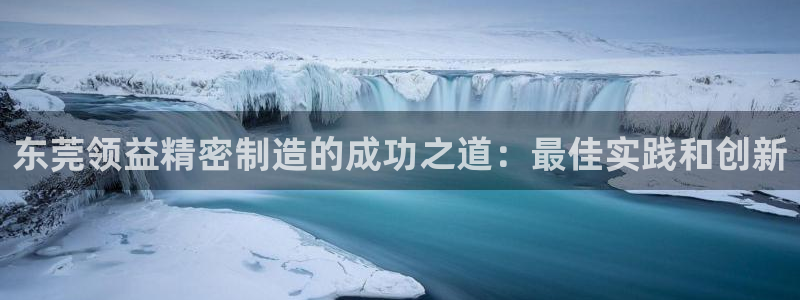 彩神v争霸是啥：东莞领益精密制造的成功之道：最佳实践和创新