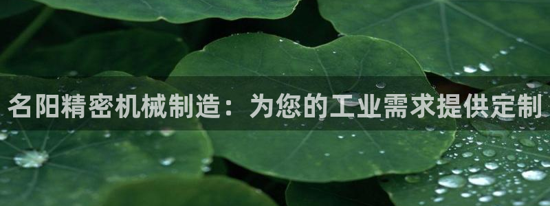 彩神v8平台正规吗可靠吗：名阳精密机械制造：为您的工业需求提供定制