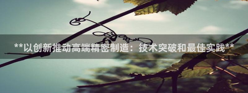 彩神用户登录：**以创新推动高端精密制造：技术突破和最佳实践**