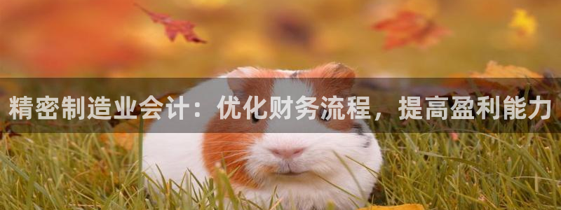 彩神是什么平台的游戏：精密制造业会计：优化财务流程，提高盈利能力