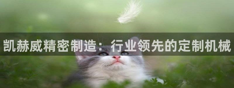 彩神v争霸是啥