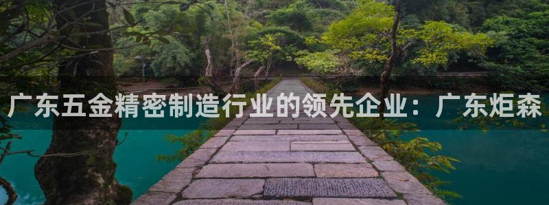 彩神v8下载app5.0：广东五金精密制造行业的领先企业：广东炬森