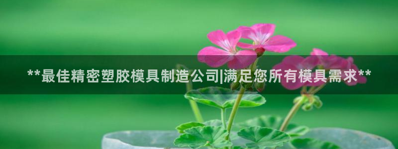 彩神骗局：**最佳精密塑胶模具制造公司|满足您所有模具需求**