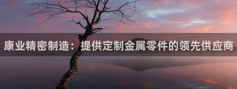 所有彩神购买首页：康业精密制造：提供定制金属零件的领先供应商