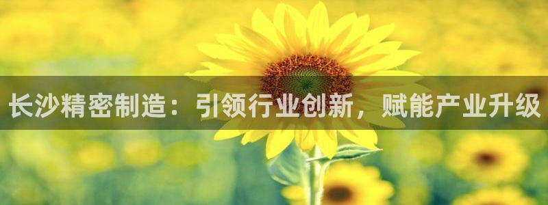 彩神v8下载：长沙精密制造：引领行业创新，赋能产业升级