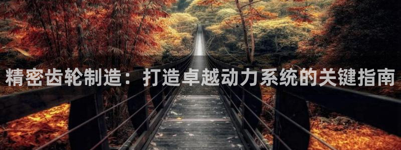 彩神Vii购彩-购彩大厅：精密齿轮制造：打造卓越动力系统的关键指南