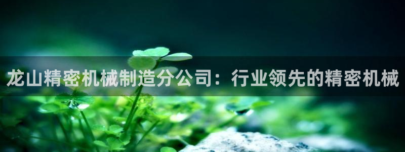 彩神v8手机客户端下载：龙山精密机械制造分公司：行业领先的精密机械